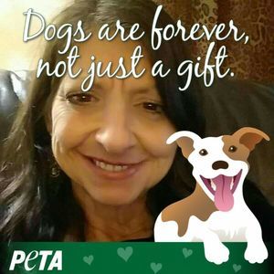 Meet your Posher, Teri